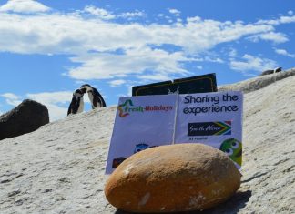 „Fresh Holidays”: Cum putem avea o luna de miere memorabila fara stres si riscuri