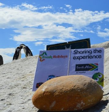 „Fresh Holidays”: Cum putem avea o luna de miere memorabila fara stres si riscuri