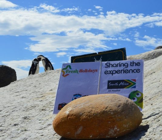 „Fresh Holidays”: Cum putem avea o luna de miere memorabila fara stres si riscuri