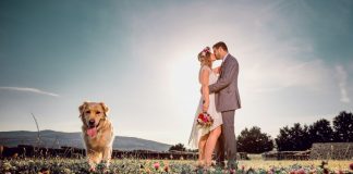 Cei mai haiosi catei surprinsi in 20 de imagini semnate de fotografii de nunta din Romania