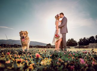 Cei mai haiosi catei surprinsi in 20 de imagini semnate de fotografii de nunta din Romania