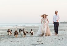 Catei surprinsi in 24 de ipostaze haioase de catre fotografii de nunta din Romania fotografii de nunta