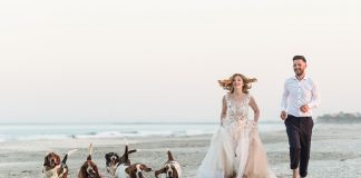 Catei surprinsi in 24 de ipostaze haioase de catre fotografii de nunta din Romania fotografii de nunta