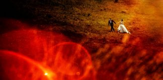 Miri in miniatura surprinsi in 30 de fotografii artistice miri