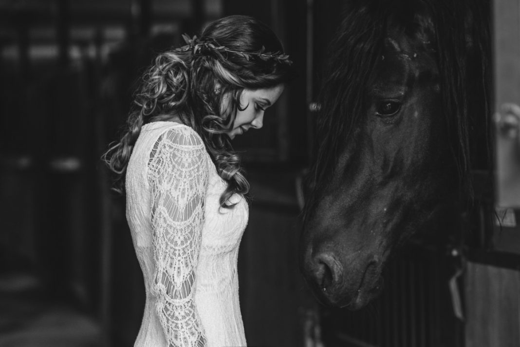 Animalute in 20 de fotografii de nunta hazlii si sensibile