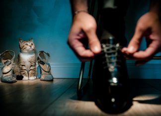 Cum să-ți implici animalul de companie la nuntă Cum să-ți implici animalul de companie la nuntă