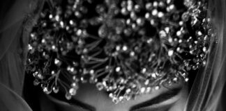 Accesorii de păr pentru nunțile din 2022-2023. Ce se poartă