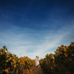 Tendințe generale pentru nunțile anului 2024