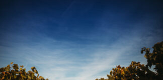 Tendințe generale pentru nunțile anului 2024