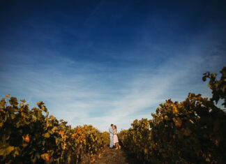 Tendințe generale pentru nunțile anului 2024