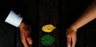 Cereri în căsătorie inedite de Valentine’s Day