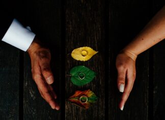 Cereri în căsătorie inedite de Valentine’s Day