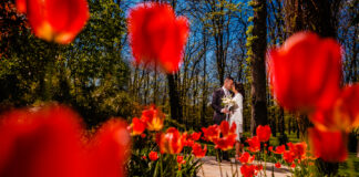 Tendințe în fotografia de nuntă în 2024