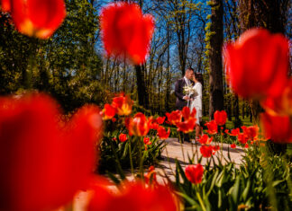 Tendințe în fotografia de nuntă în 2024