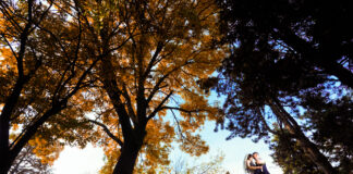 Cele mai populare luni ale anului în care se organizează nunți