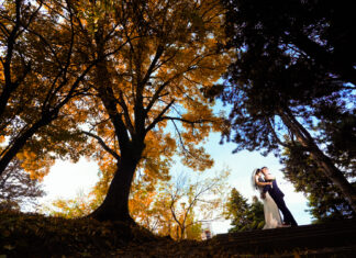 Cele mai populare luni ale anului în care se organizează nunți