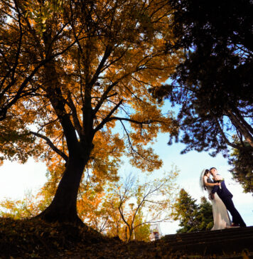 Cele mai populare luni ale anului în care se organizează nunți