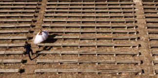 Totul despre fotografia cu drona în cadrul nunților