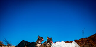 10 locații de vis din Bulgaria pentru o ședință foto Trash the dress