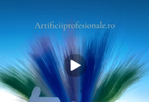 Artificii de nuntă și spectacole de zi pentru un eveniment memorabil